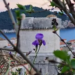 Bruana 5 دوبروفينك