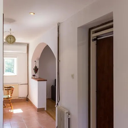 Apartament Bruana 5 *